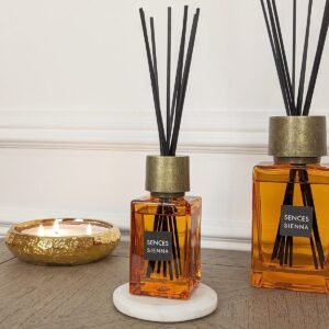 Burnt Orange & Gold Petite Reed Diffuser - 120ml