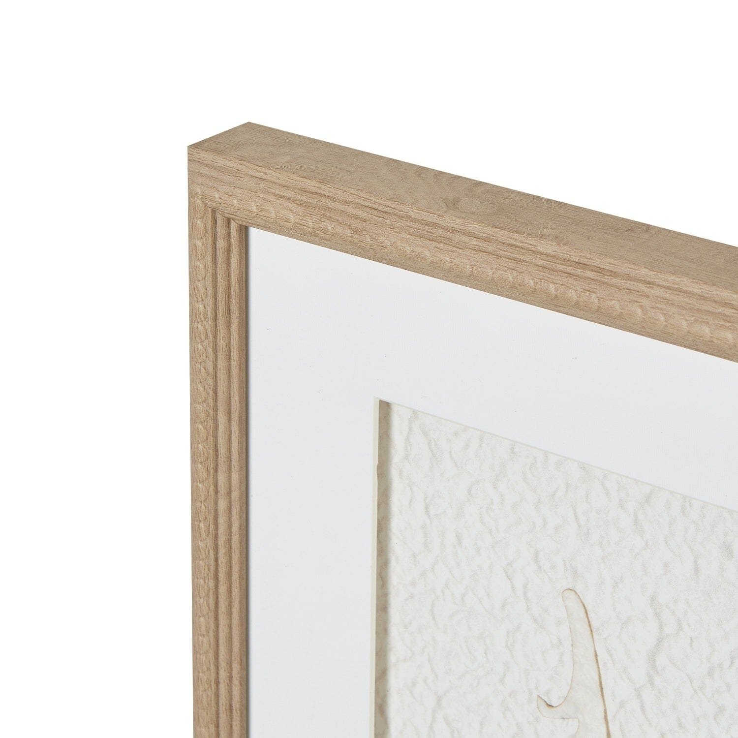 Cyrus Cream Feather Print Wall Art in Wooden Frame