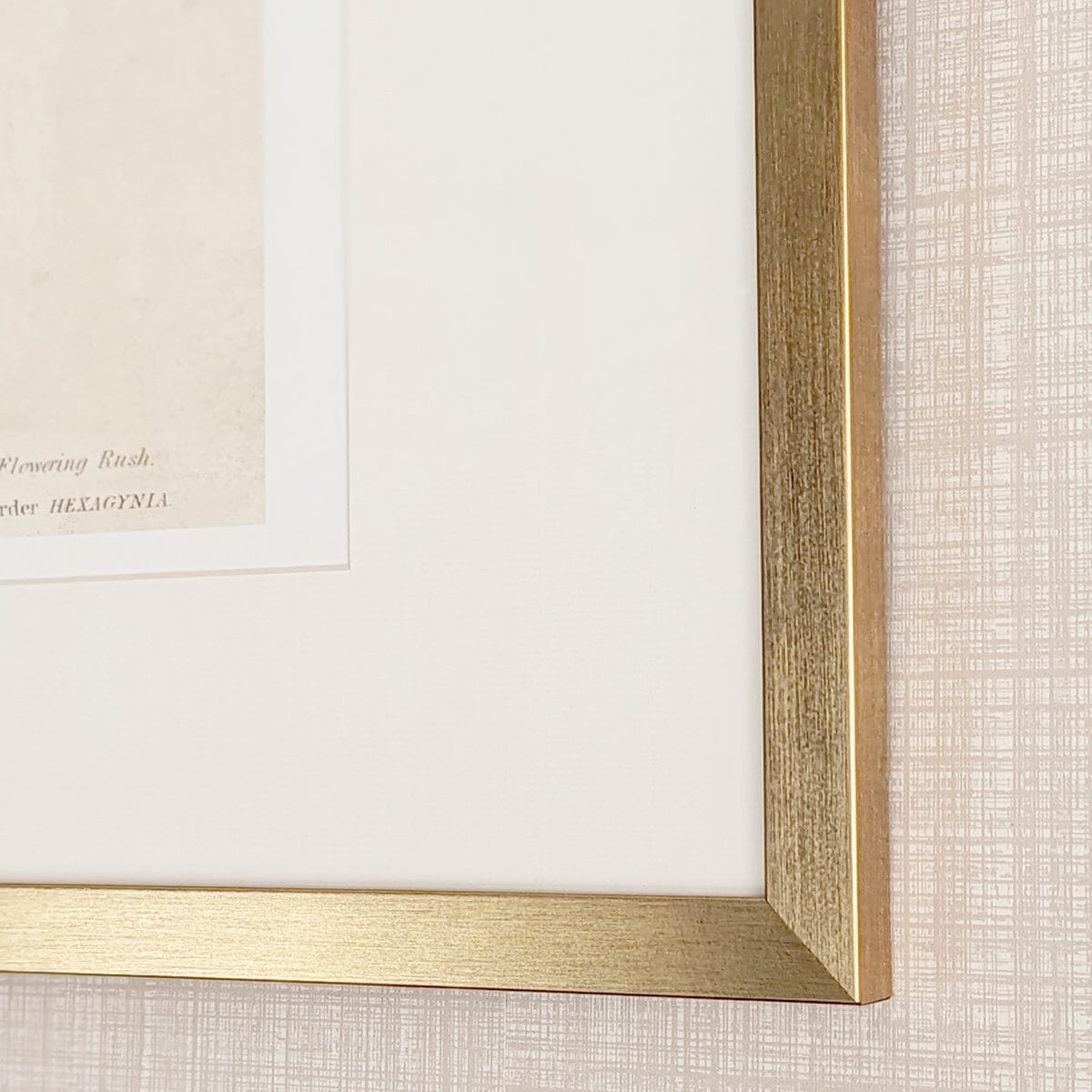 Diana Gold Framed Neutral Flower Wall Art - II
