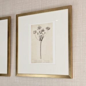 Diana Gold Framed Neutral Flower Wall Art - II