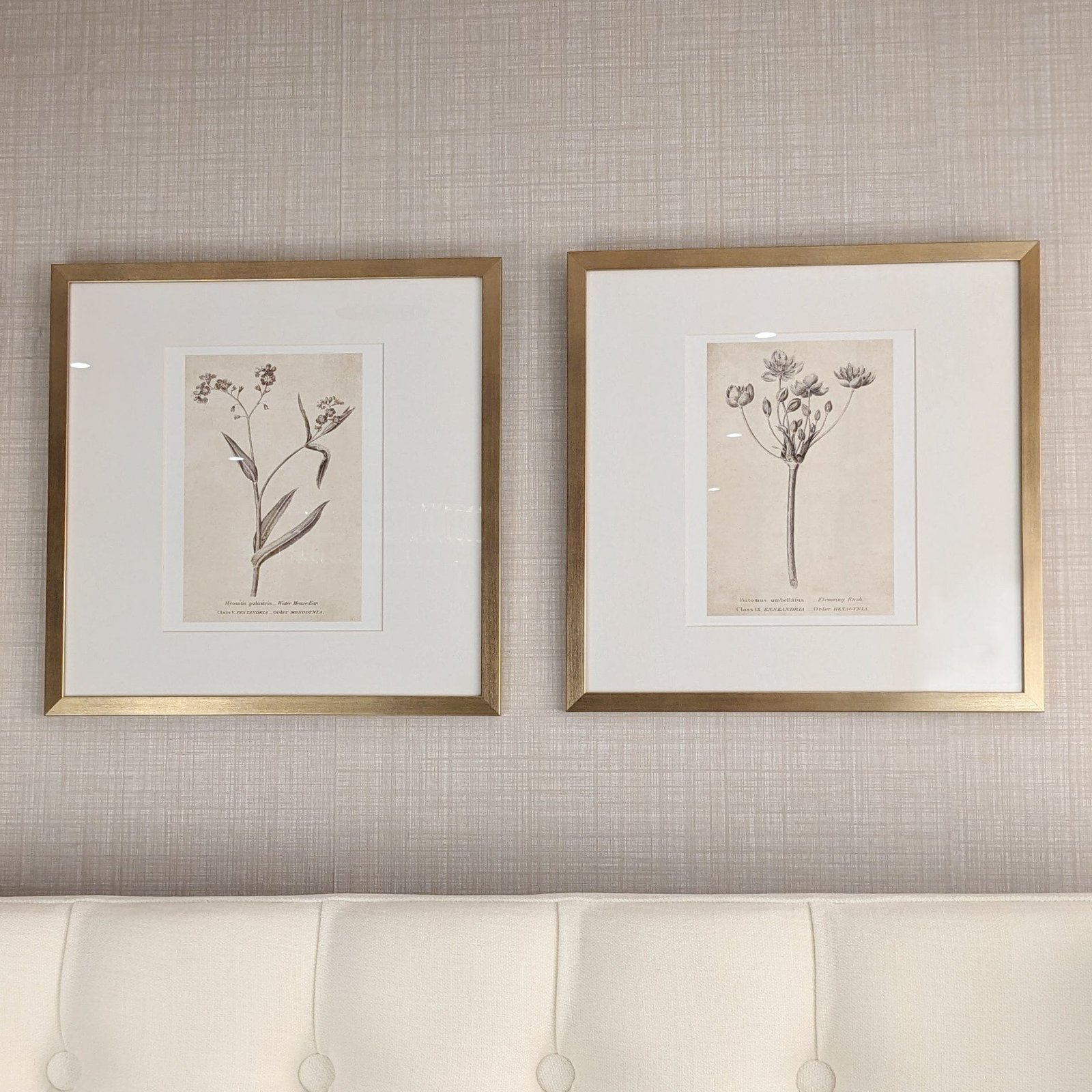 Diana Gold Framed Neutral Flower Wall Art - II