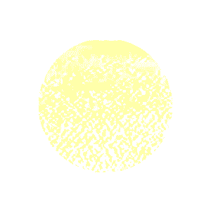 Ecru Boucle Fabric Sample