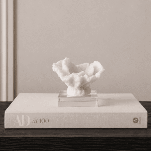 Fiorelle Mini Decorative Faux Coral on Acrylic Base