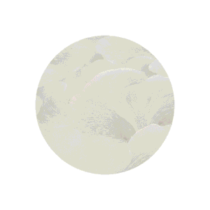 Halie Cream Abstract Floral Petal Wallpaper Sample