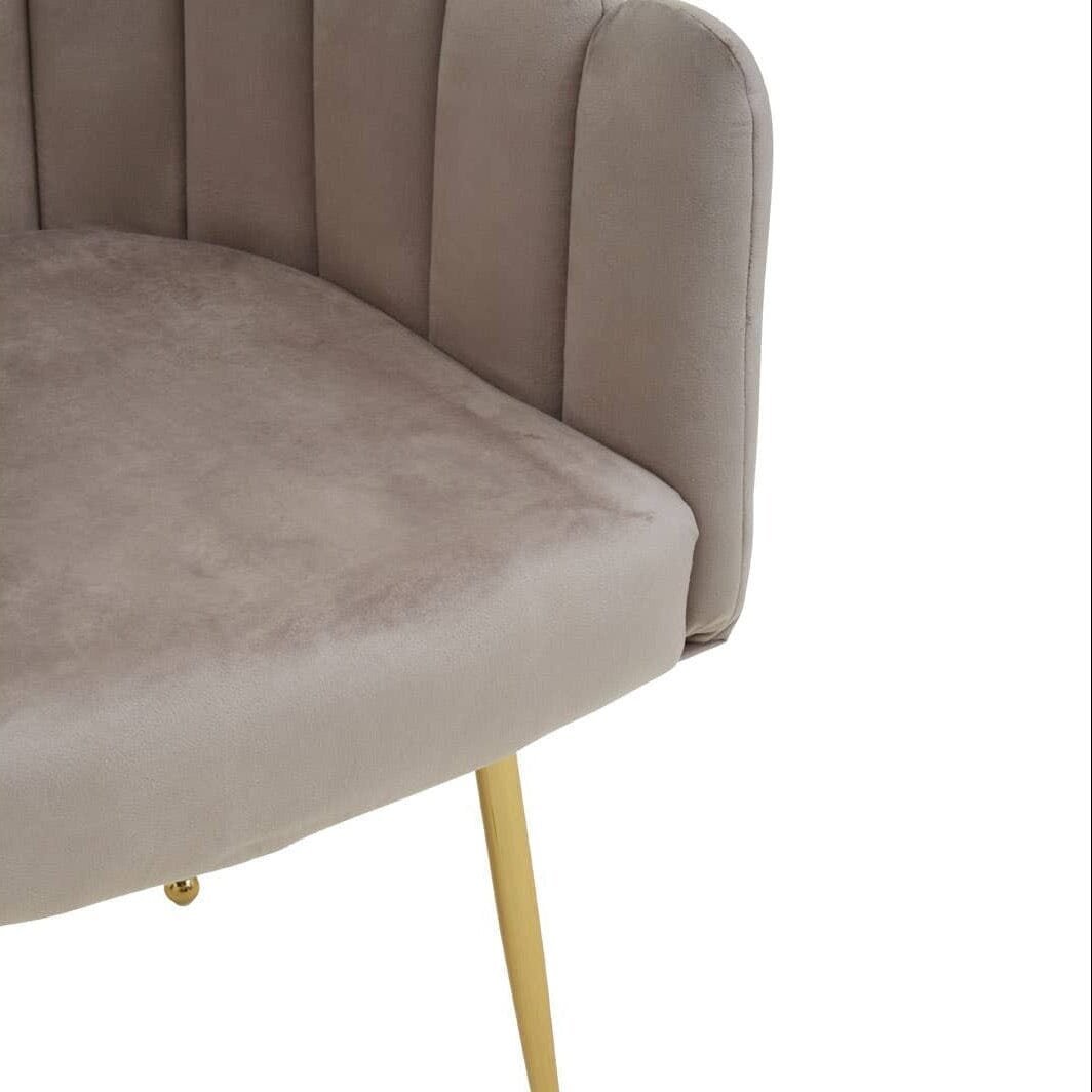 In Stock - Kelcie Beige Velvet Scalloped Dining Chair with Gold Legs