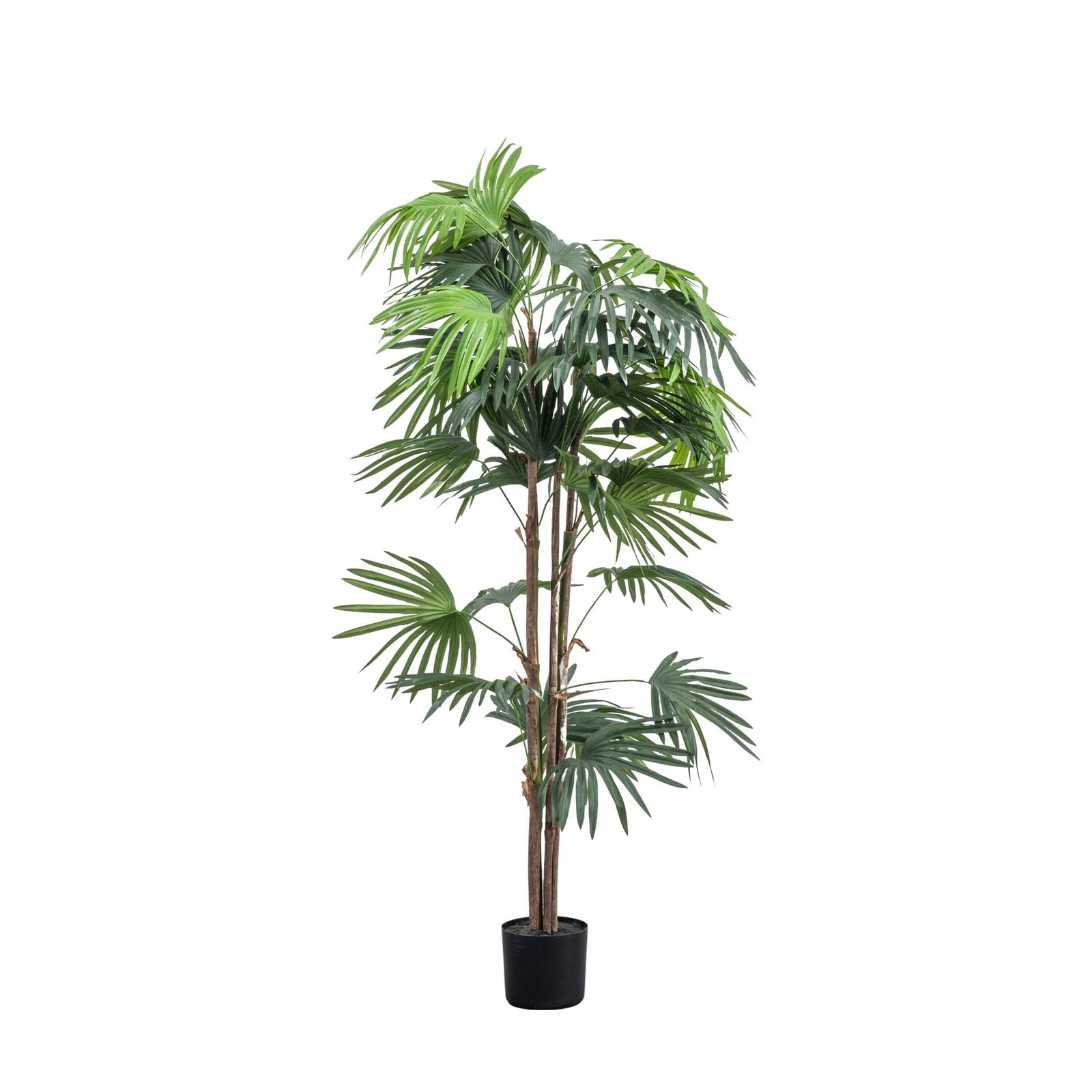 Large Faux Chinese Fan Palm Tree