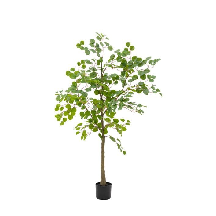 Large Potted Faux Eucalyptus Tree