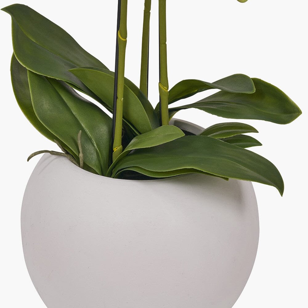 Medium White Faux Potted Orchid Decorative Floral