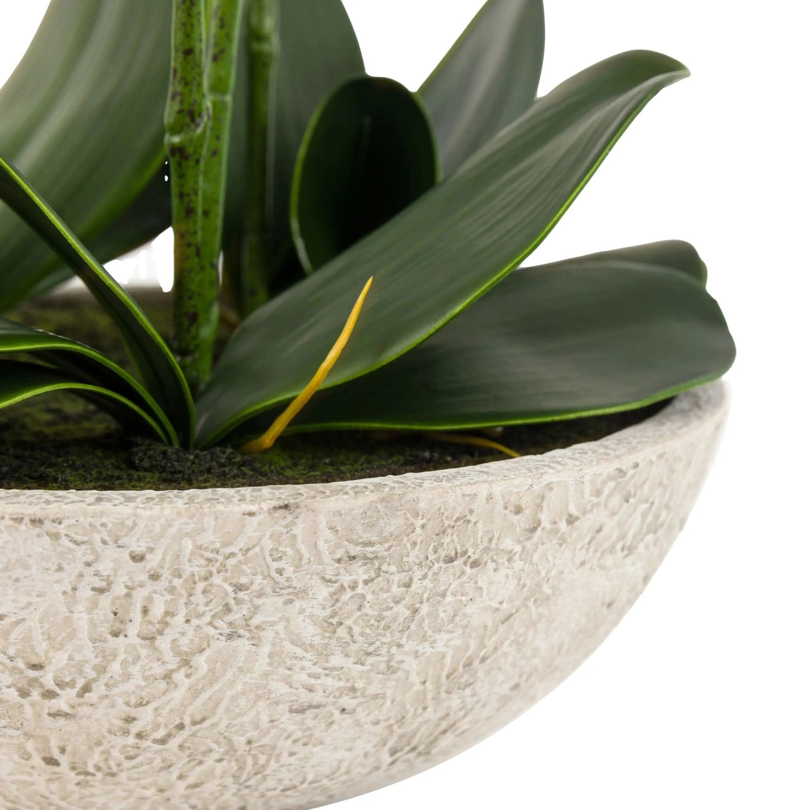 Oversized Faux Orchid in White Cement Effect Pot