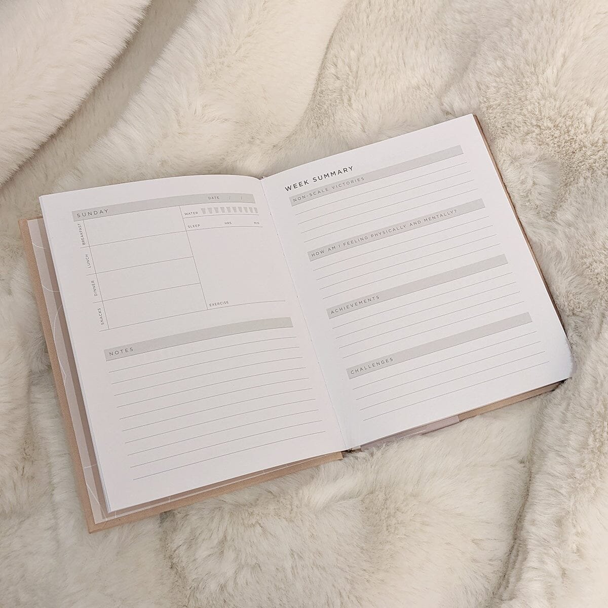 Pink Wellness Planner / Notebook