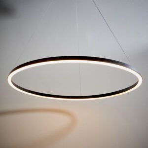 Taylin Black Halo LED Pendant Ceiling Light